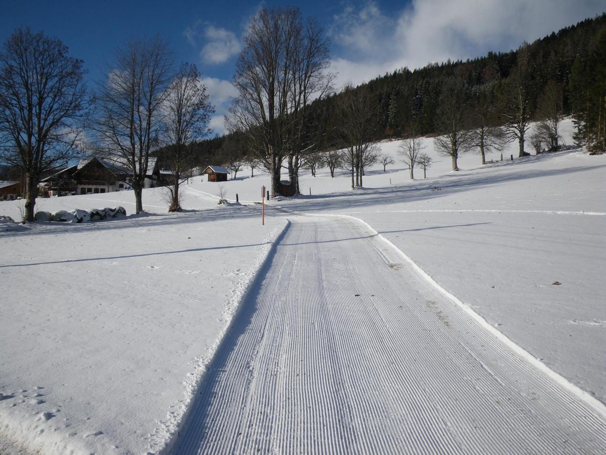 Austrian Alpine Apartments Ramsau am Dachstein Eksteriør billede